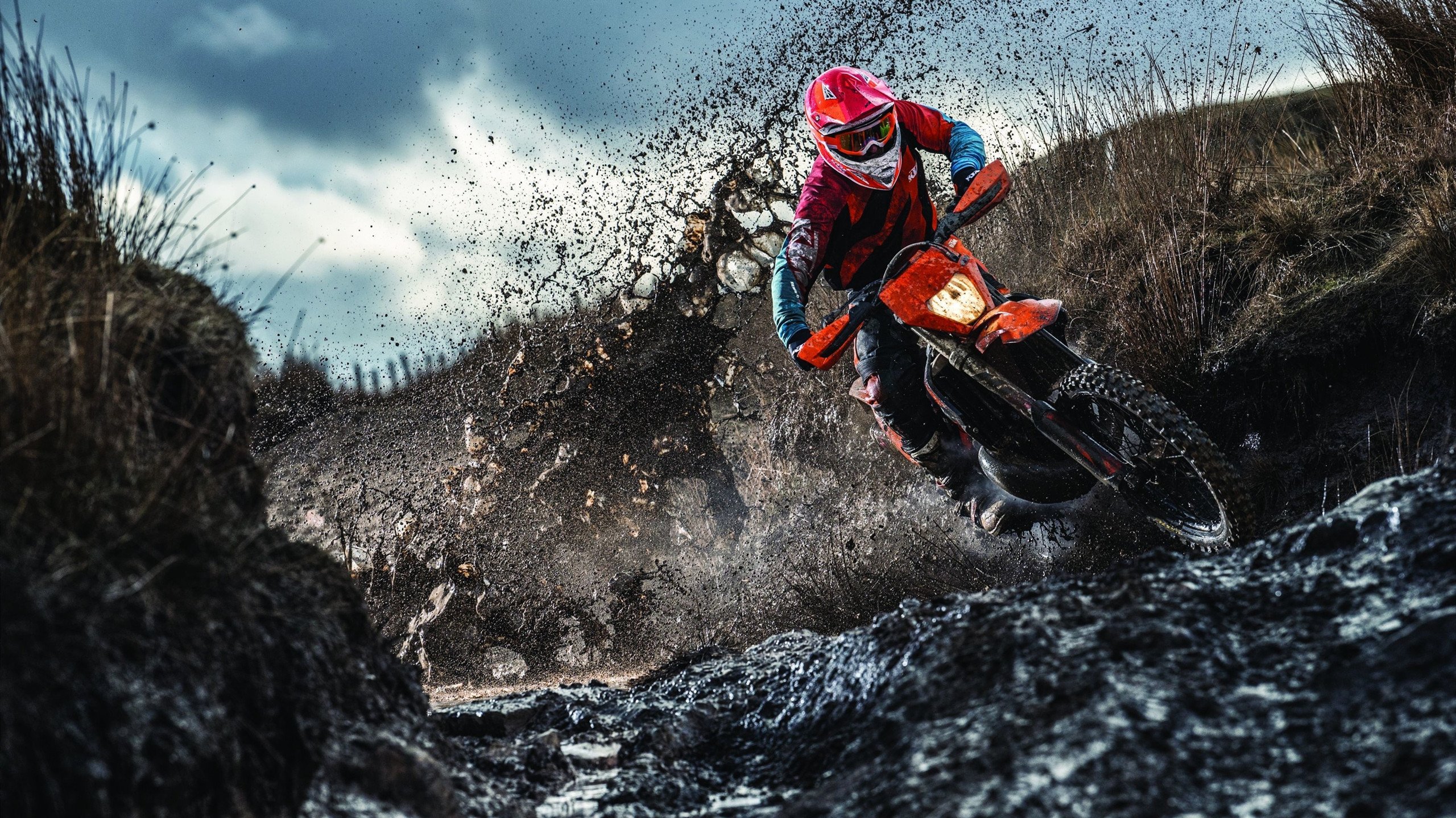 乒联最新排名点燃热潮：孙颖莎稳居世界第一，王艺迪反超蒯曼再登第四新高